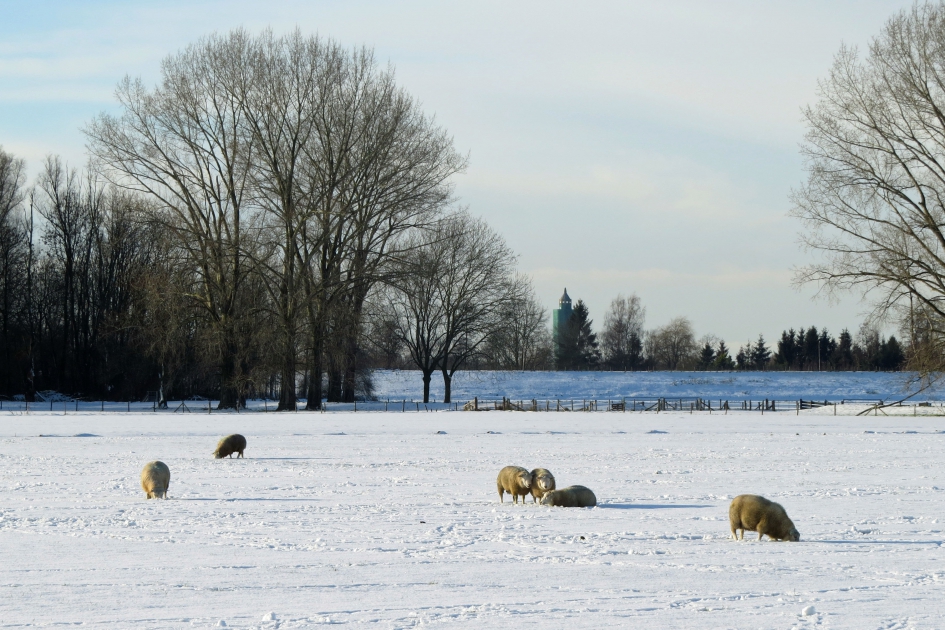 Winterplaatje - Weer en landschap - 