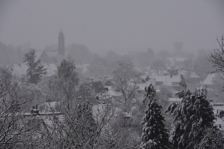 Zeist 2 - Weer en landschap - 