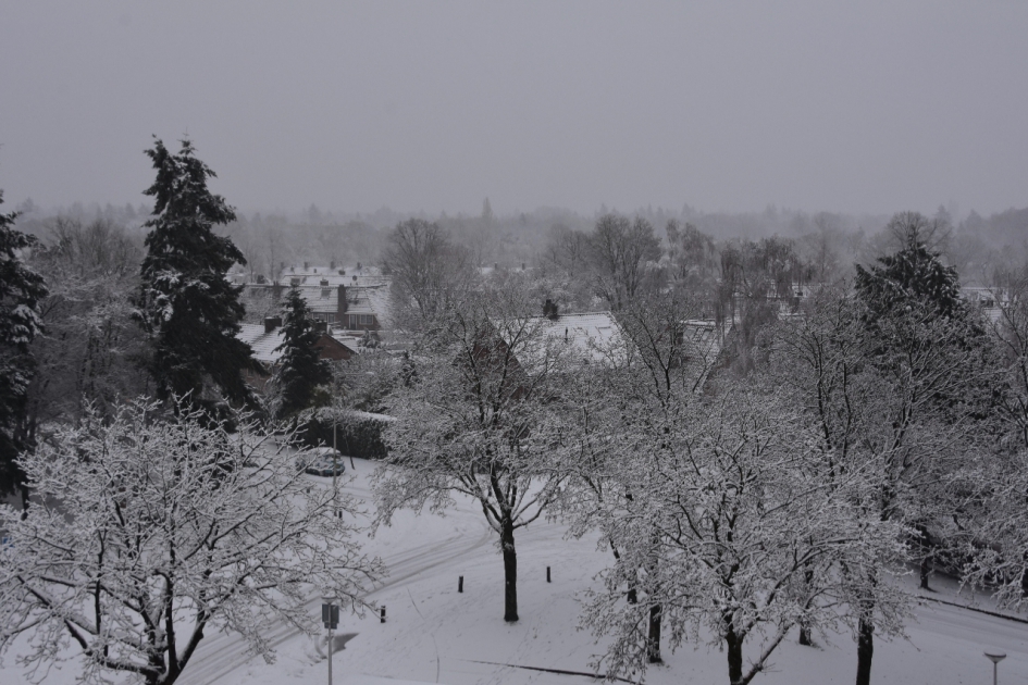 Zeist in de sneeuw - Weer en landschap - 