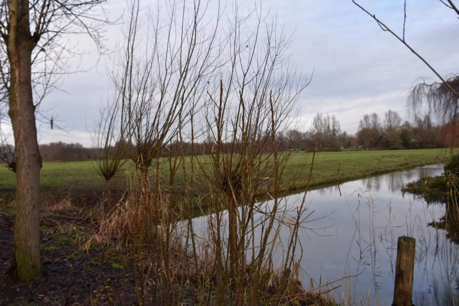 Zeister Grift 2 - Weer en landschap - 