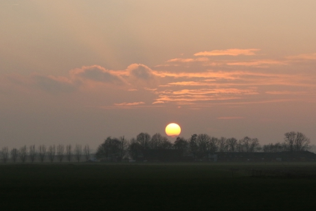 Zonsondergang in de Betuwe
