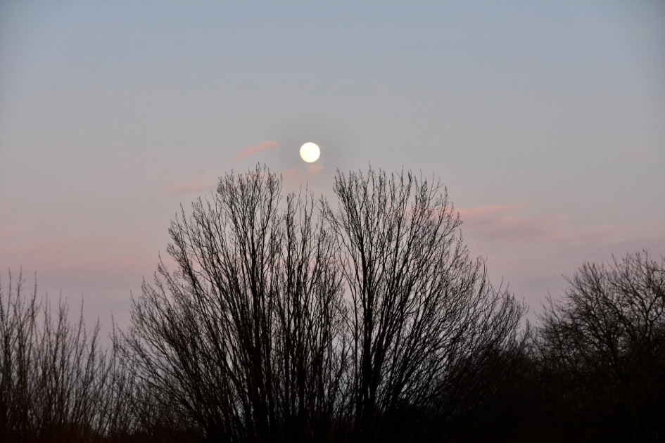 Aan het begin van de avond.. - Weer en landschap - 