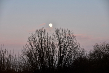 Aan het begin van de avond..
