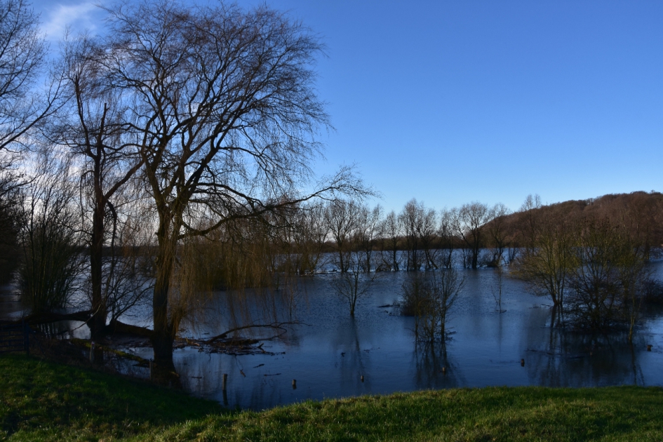 Blauwe Kamer - Weer en landschap - 