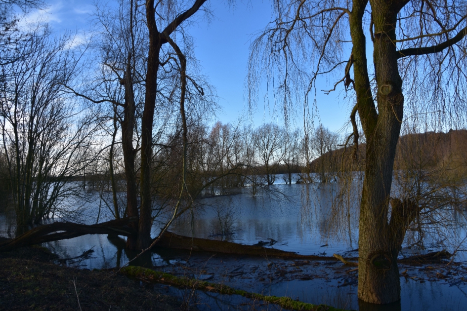 Blauwe Kamer - Weer en landschap - 