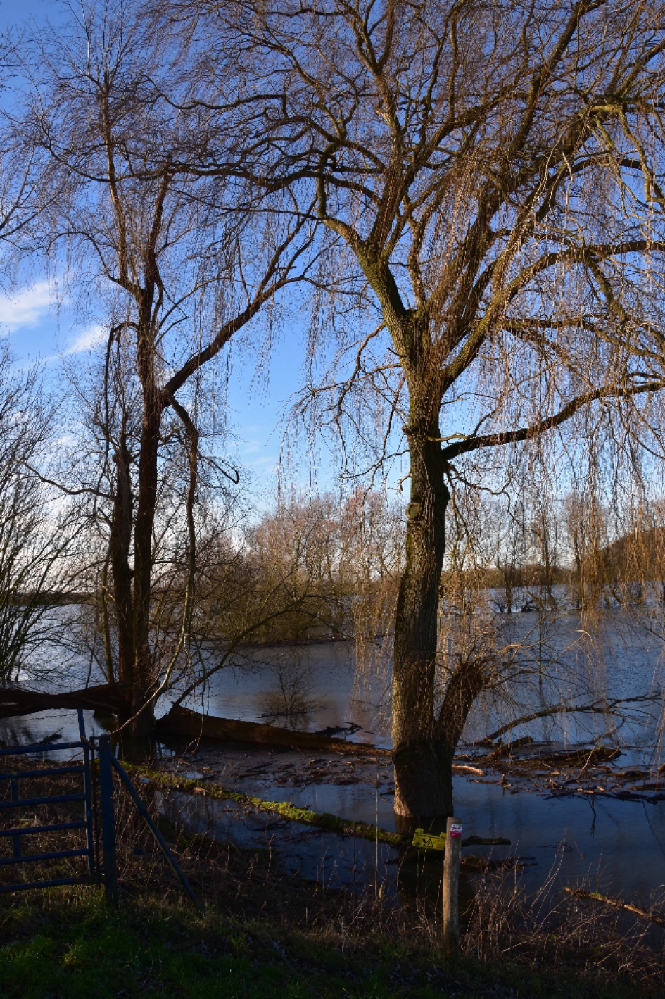 Blauwe Kamer - Weer en landschap - 