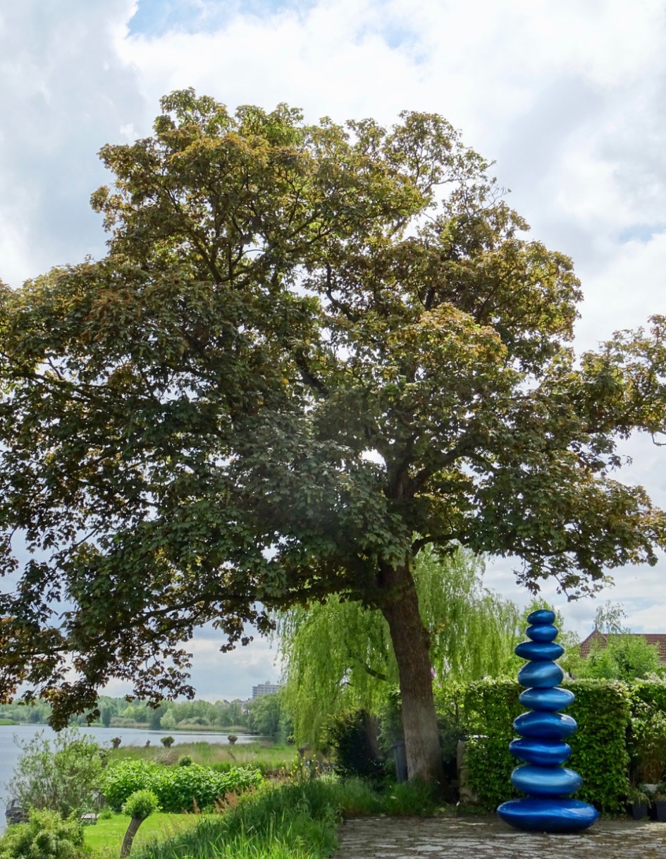 De Dommel - Weer en landschap - De Dommel