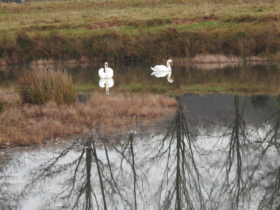 De wereld op zijn kop - Weer en landschap - 