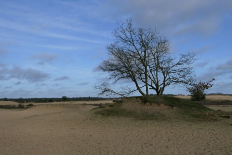 Drunense Duinen