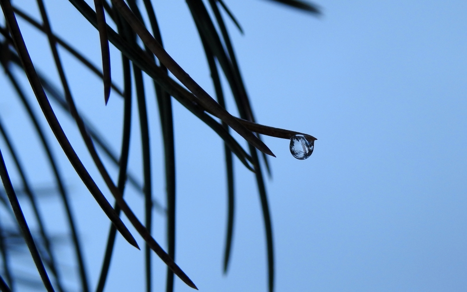 Drup - Weer en landschap - 