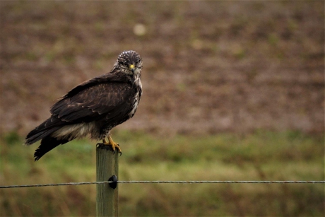Een paaltje naar achter