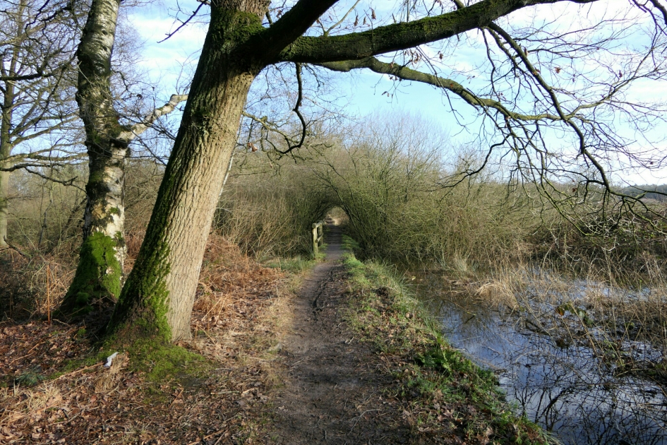 Erg nat - Weer en landschap - Landschap