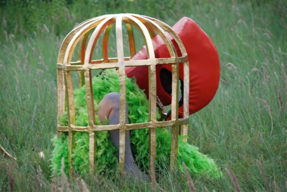 Exoot - Vogels - halsband parkiet