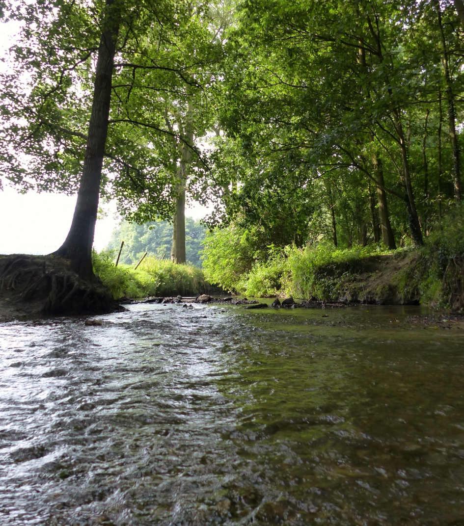 Gulp - Weer en landschap - 