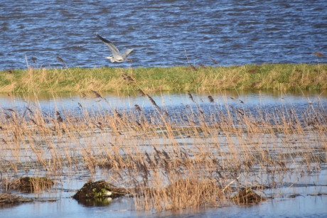 Een ander plekje proberen..