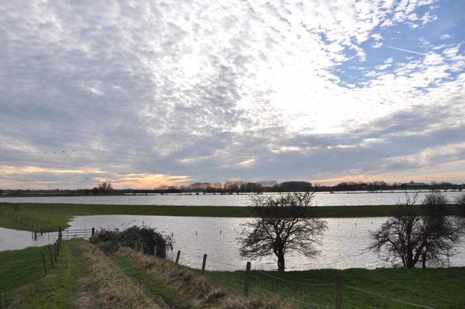 Hoog water - Weer en landschap - 