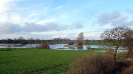 Hoog water in de Reest