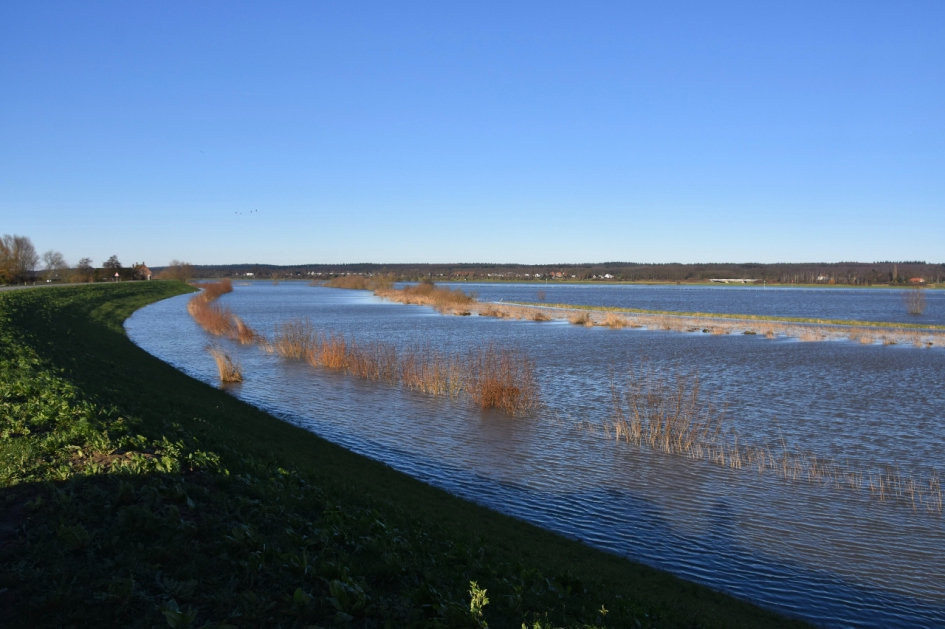Hoogwater - Weer en landschap - 
