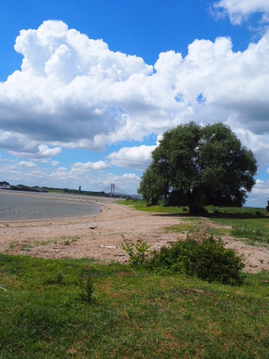 Ik kwam bij Bommel - Weer en landschap - 