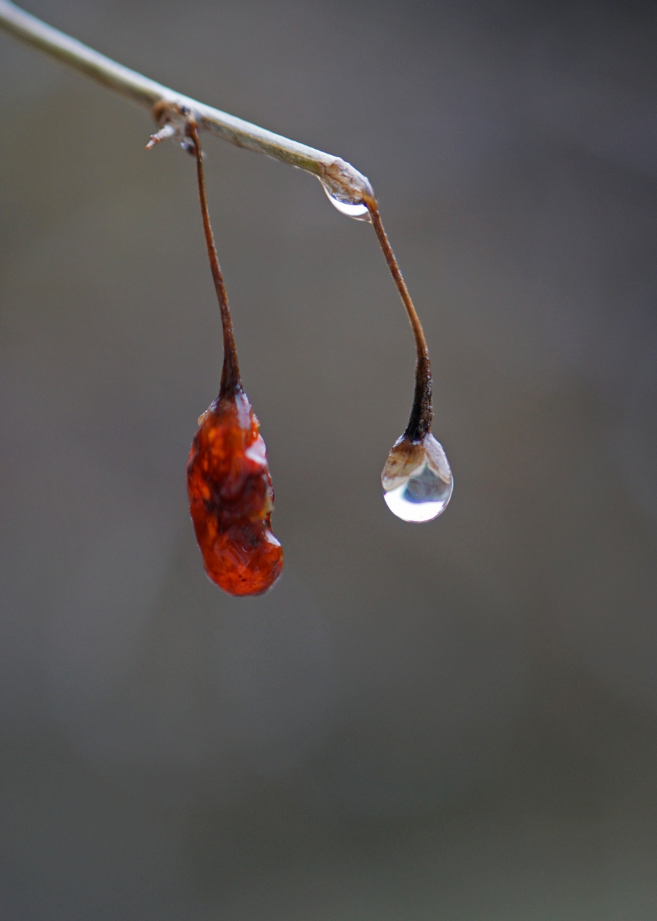Je ziet er waterig uit - Weer en landschap - 