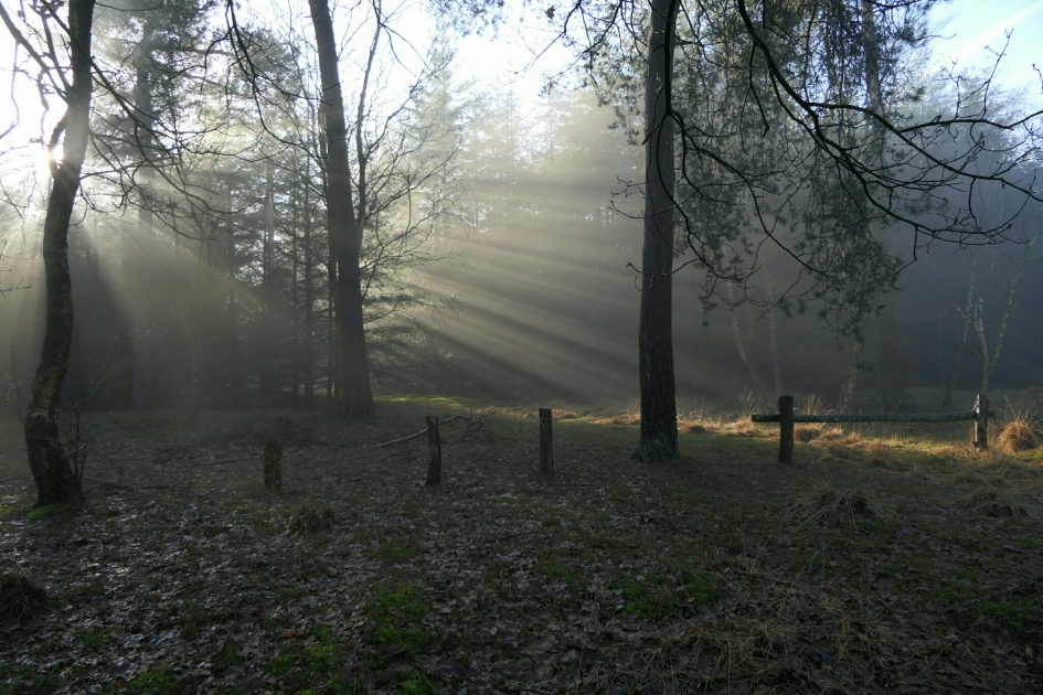 Lichtval - Weer en landschap - Landschap
