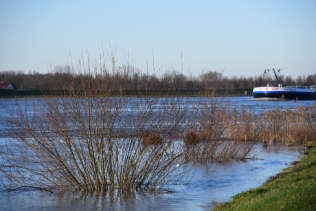 Nederrijn bij Rhenen
