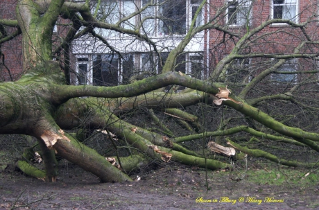 Storm in Tilburg