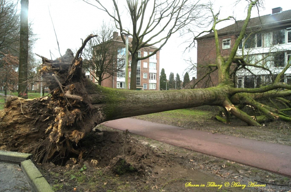 Storm in Tilburg - Weer en landschap - 