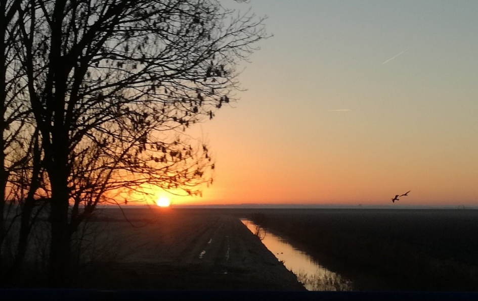 Vanuit een rijdende auto - Weer en landschap - 