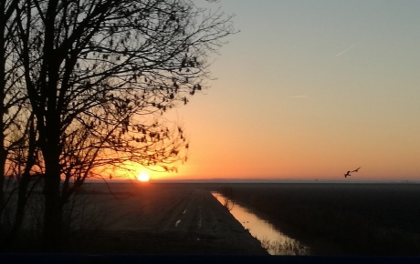 Vanuit een rijdende auto
