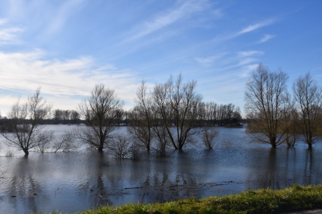 Vogelkijkhut van de Blauwe Kamer