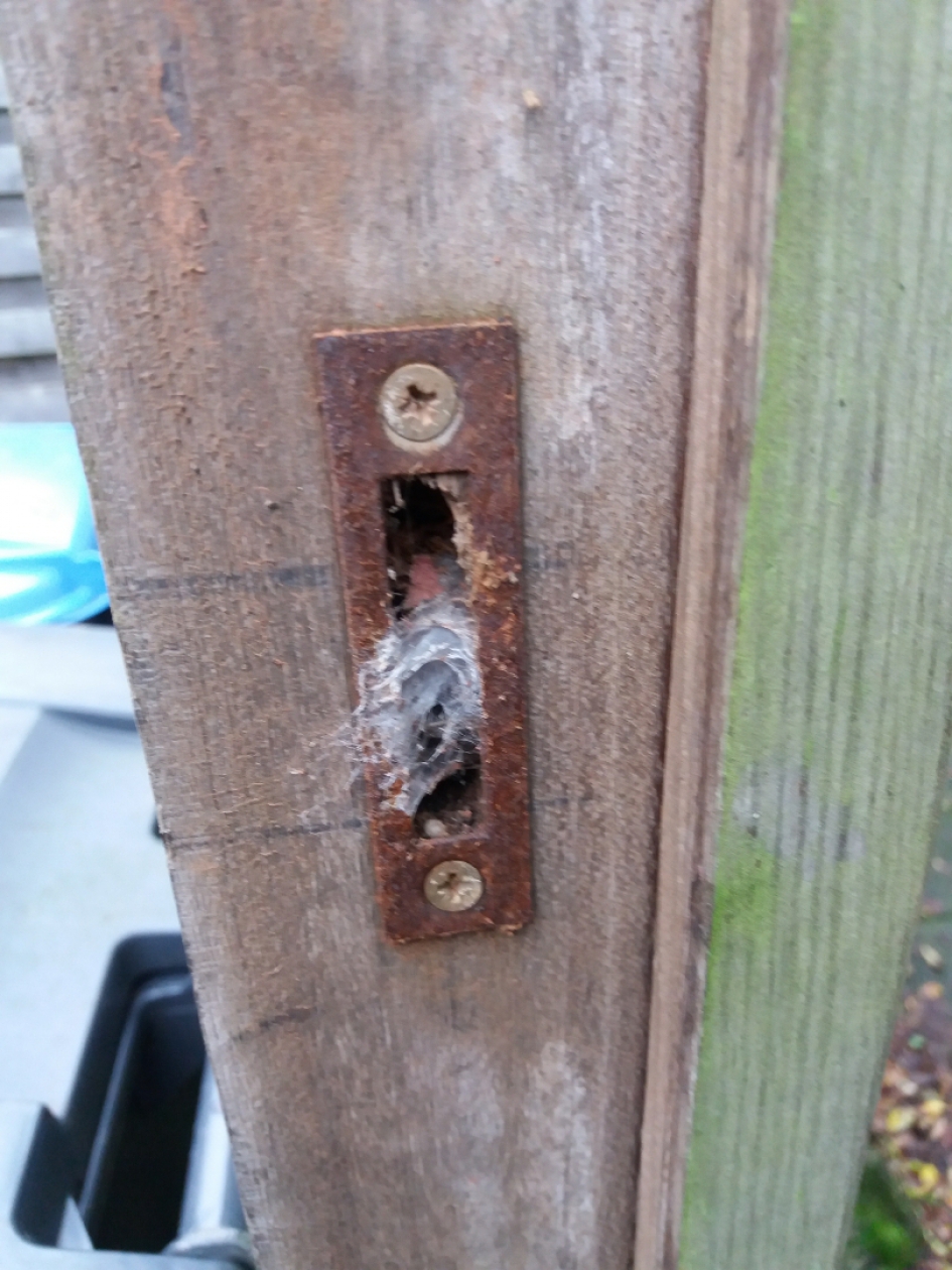Wat is dit? - Geleedpotigen - 