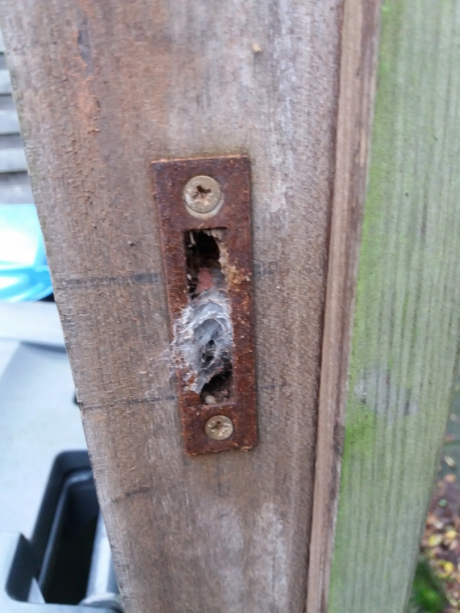 Wat is dit?