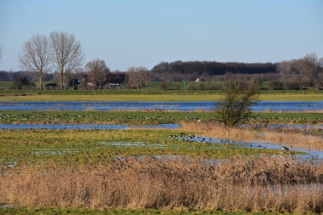 Water in de uiterwaarden...