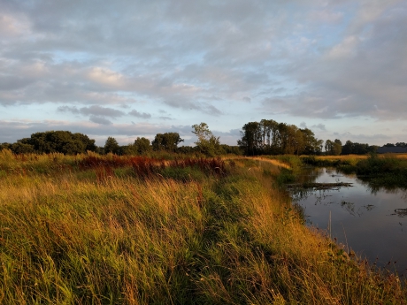 Westerwolde, de Ruiten Aa