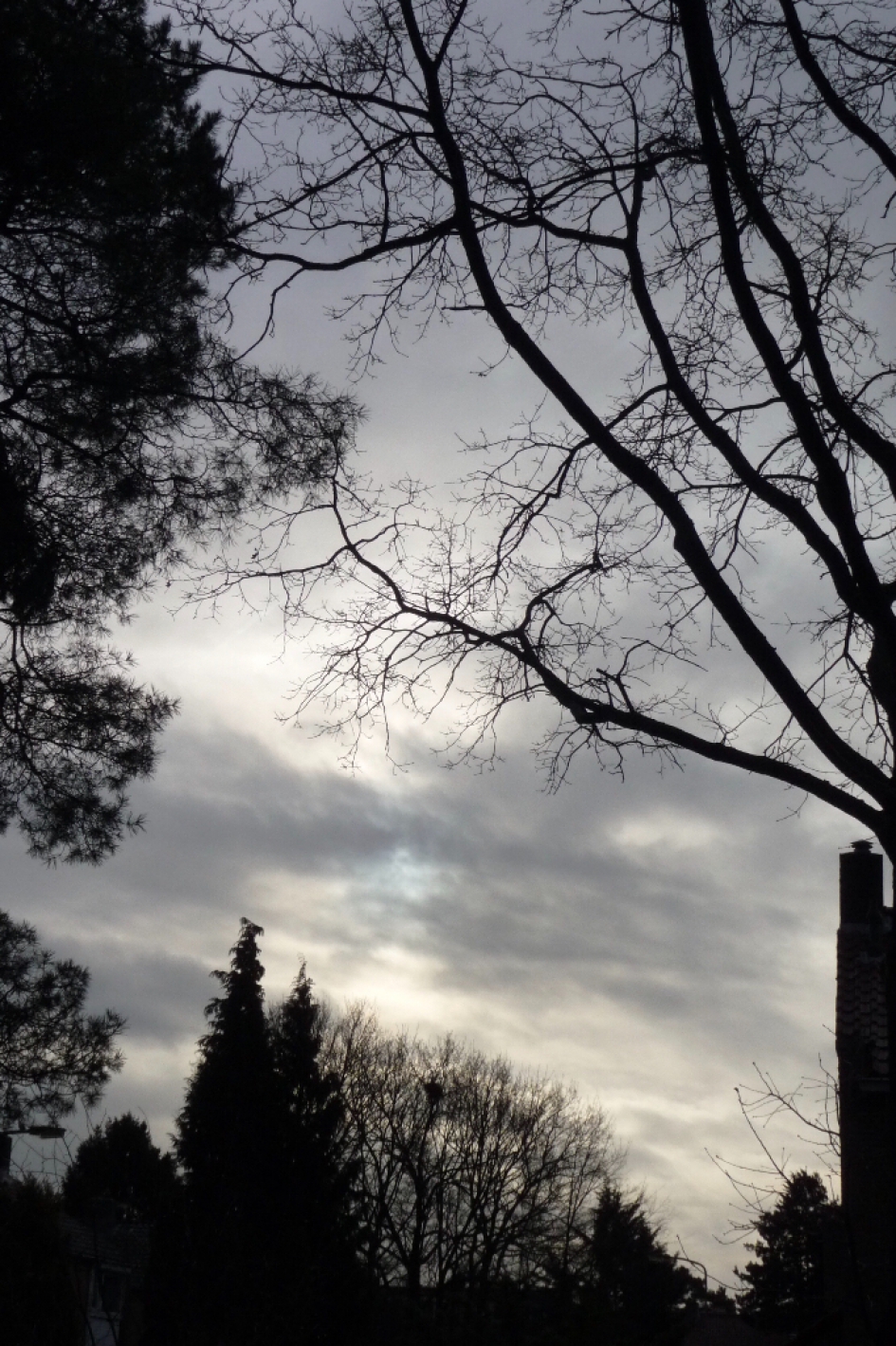 Zwaar bewolkt - Weer en landschap - 