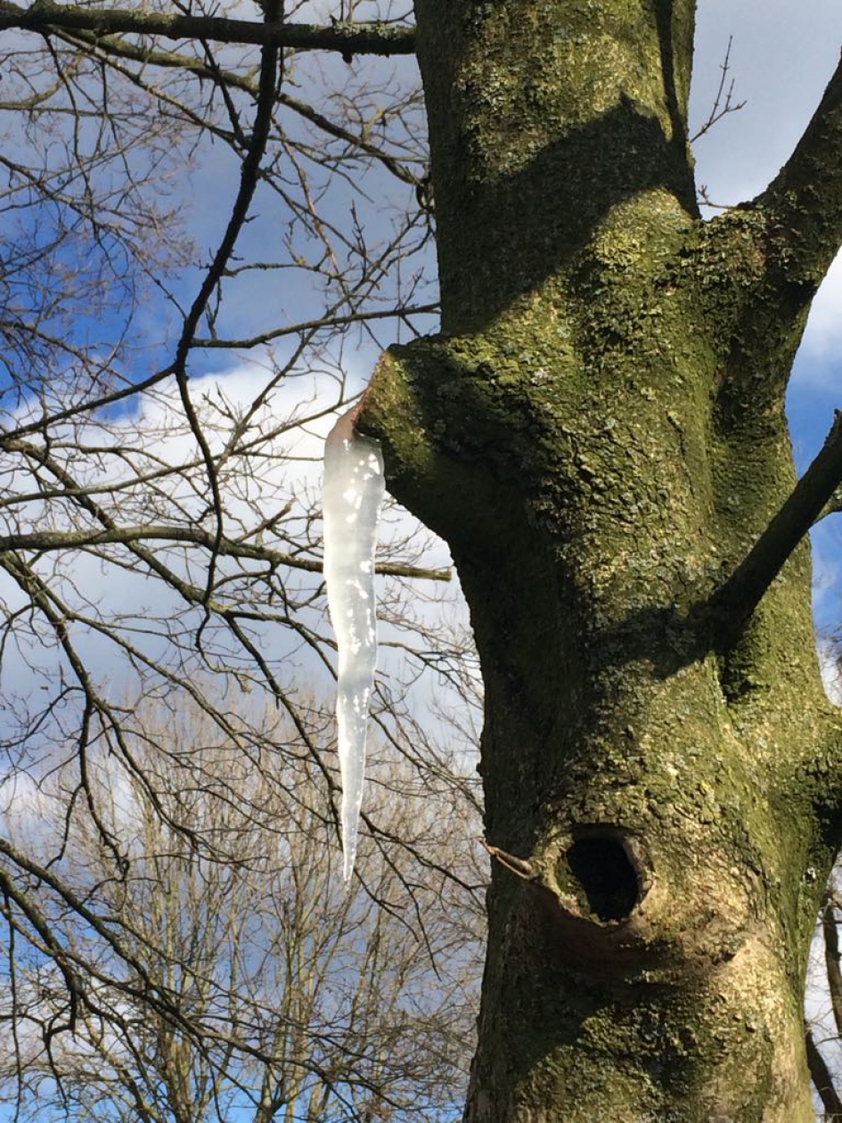 bloed - Weer en landschap - 