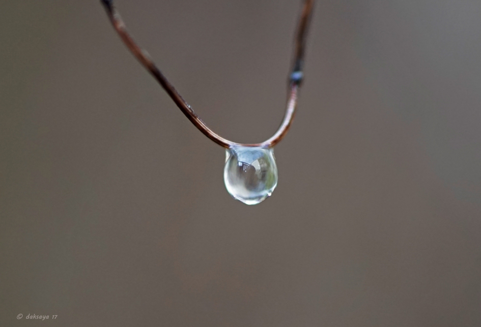 Hanger - Weer en landschap - 