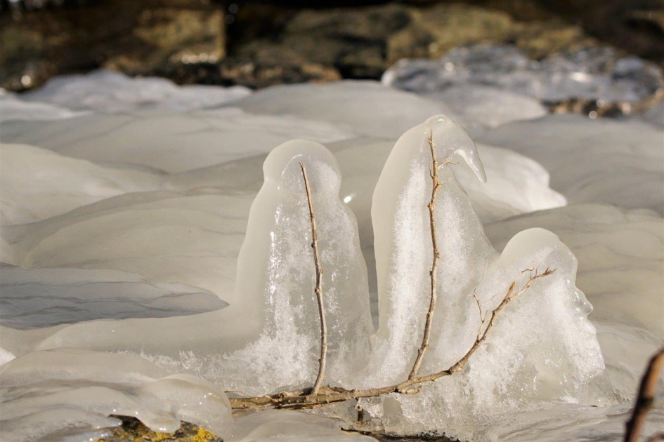 ijs koude takjes - Weer en landschap - Ijs