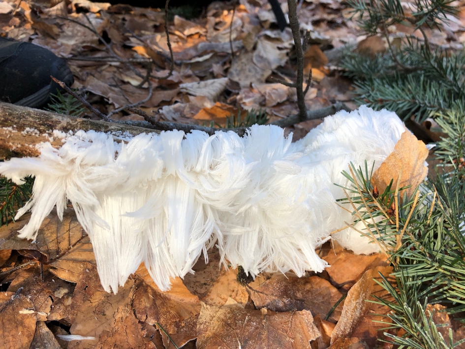 IJshaar, hoe bijzonder - Weer en landschap - 