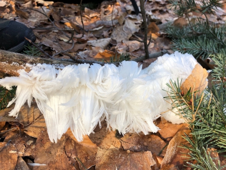 IJshaar, hoe bijzonder