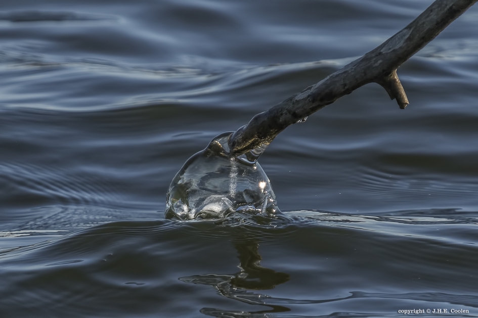 Ijskoude verbinding... - Weer en landschap - Ijs