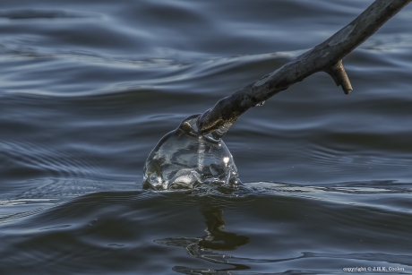 Ijskoude verbinding...