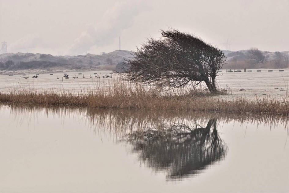 Noordholland - Weer en landschap - 