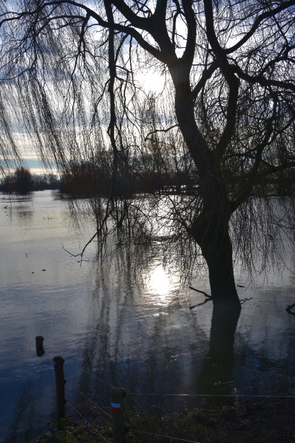 Veel water - Weer en landschap - 