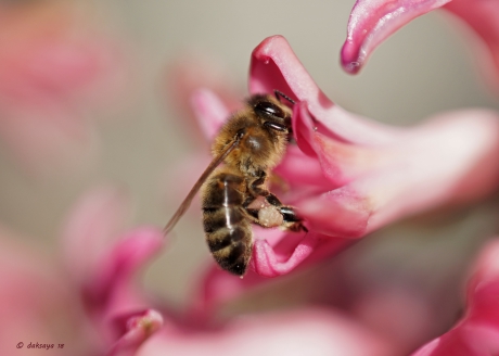 Ze zijn er (gelukkig) weer