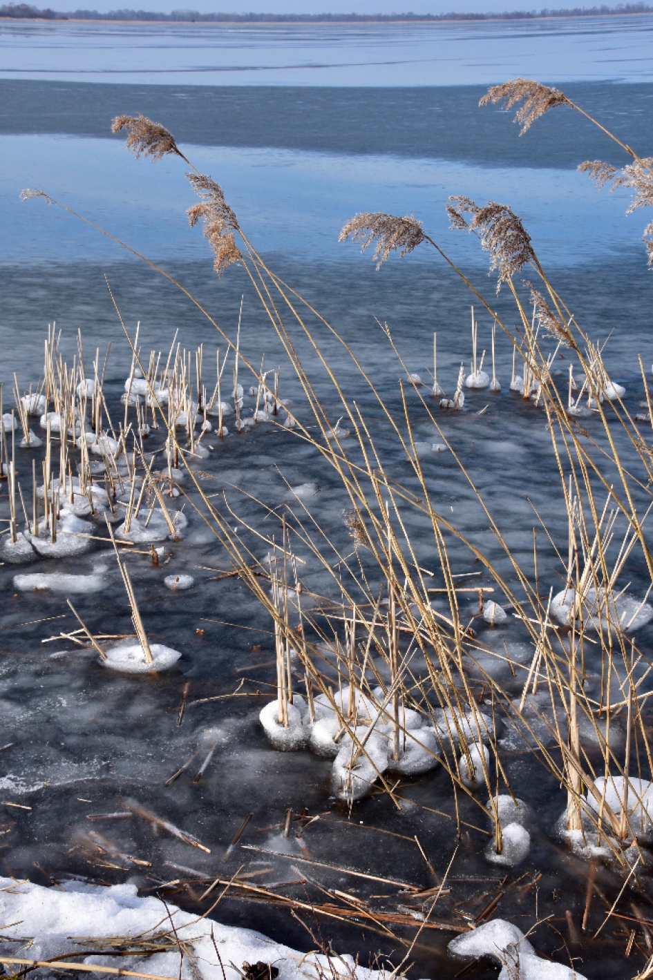 Aan de rand van de plas - Weer en landschap - 
