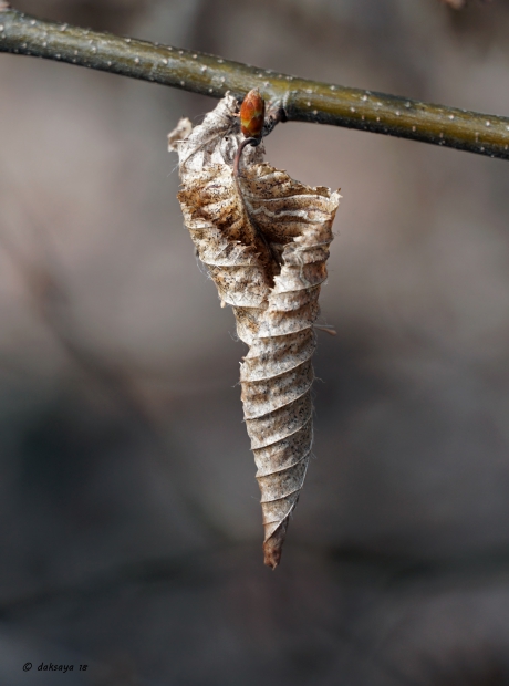 Als een frietzakje...