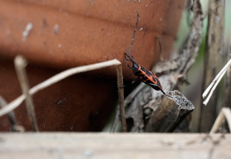 Ben ik wel lenig genoeg...