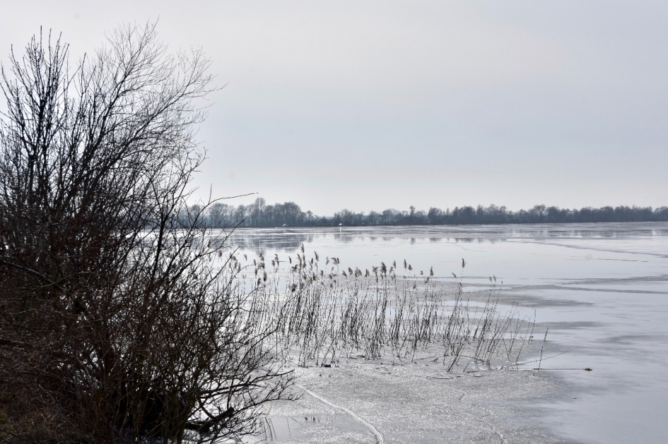 Bevroren plas - Weer en landschap - 